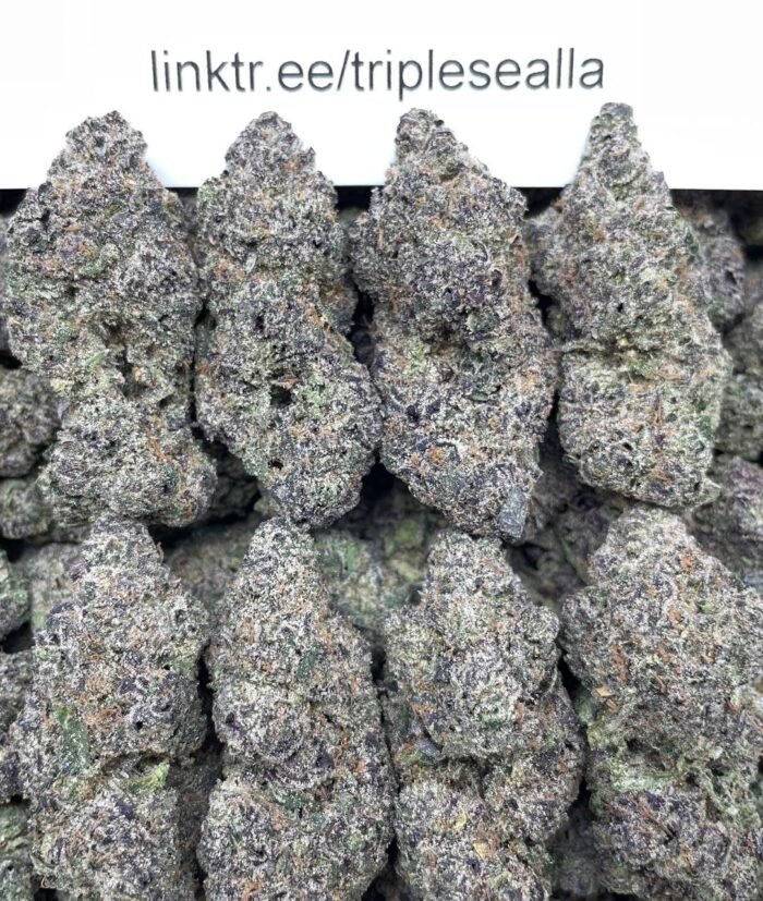 #F27A Grape Gelatti 🍇