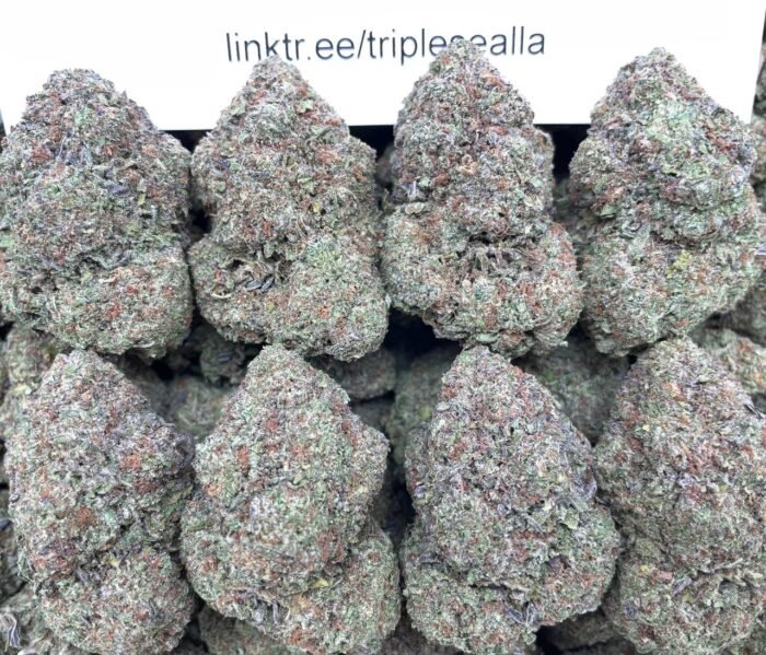 #E90A Queen Anne Cherriez 🍒