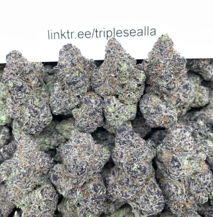 #E1C Sour Gummi's 🍬
