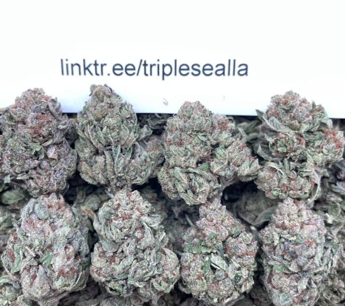 #E49B Gelato 47 🍧