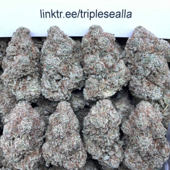 #F30A Royal Gorilla 👑