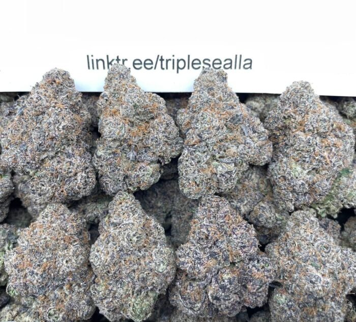 #E64A Warheads 🍋🟩