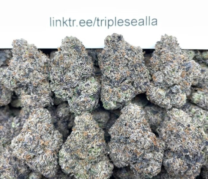 #E28B Unicorn Splash 🦄