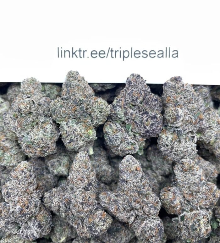 #F15A Sour Patch Berries 🍬