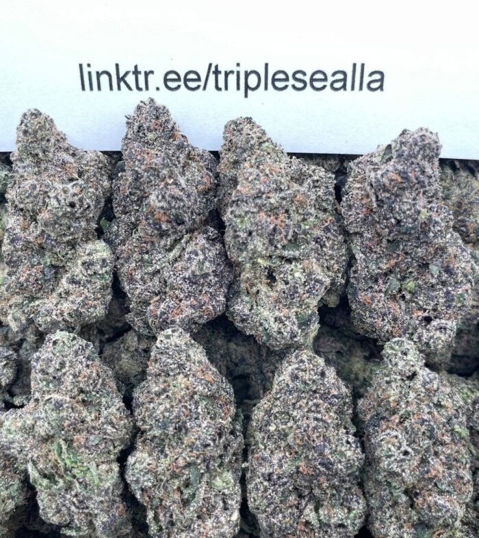 #H14A Jelly Runtz 🍇