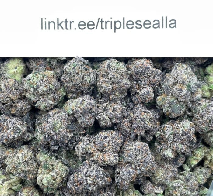 #L12A Dubble Bubble Smalls 🍬