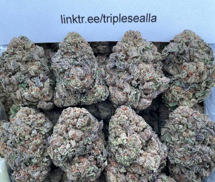 #E7C Georgia Pie 🥧