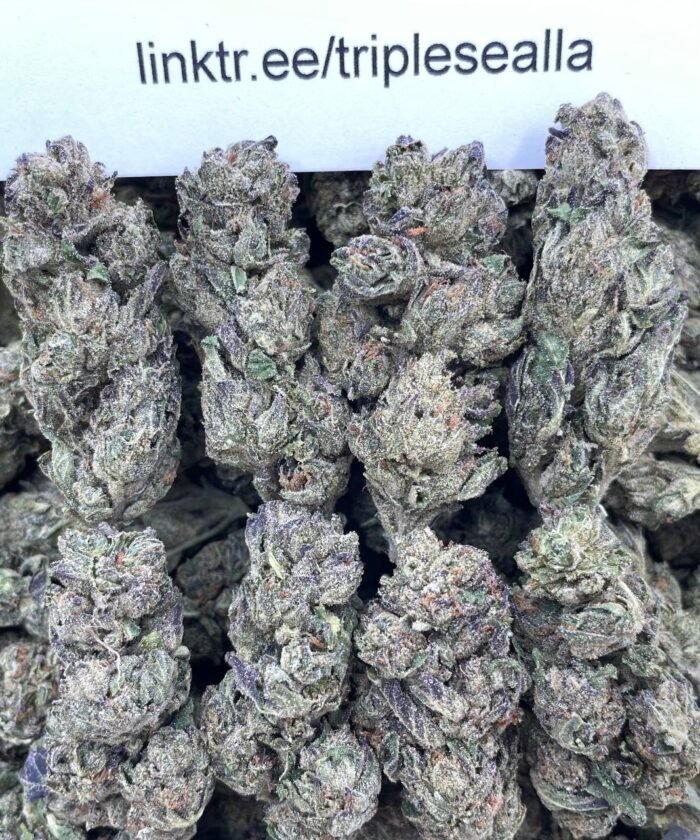 #G28A Blackberry Runtz 🍇