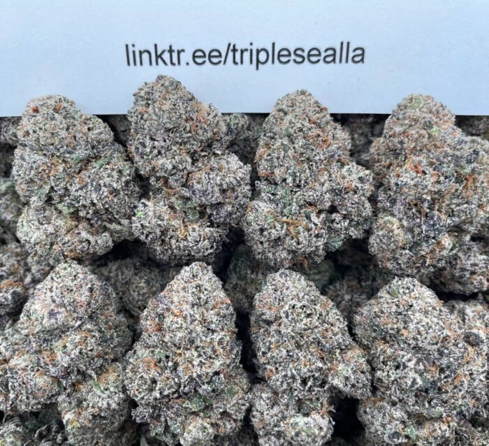 #G3C Watermelon Sour Jacks 🍉