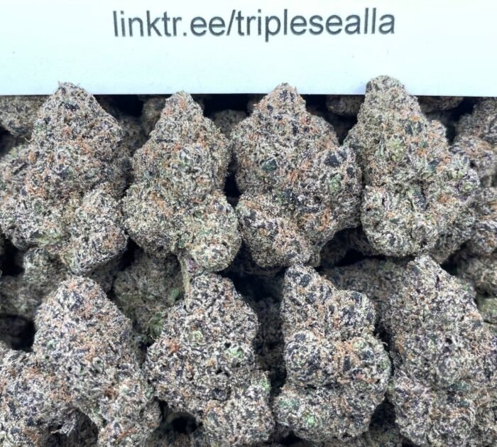 #F3A Toxic Waste Zours 🧪