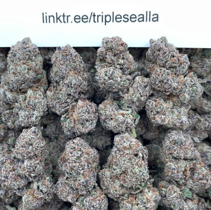 #F17C Rainbow Candy 🌈