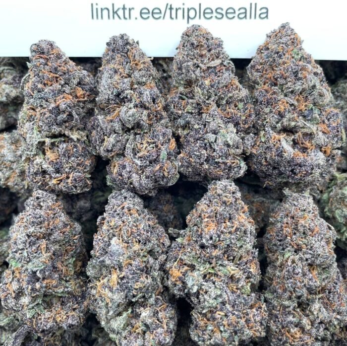 #G6A Mega Black Cherries 🍒