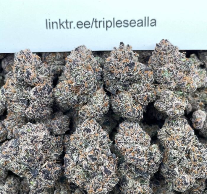 #F11C Pink Pussy 👄