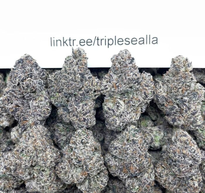 #284A Sour Patch Peach 🍑