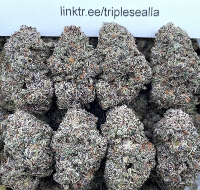#E33A Snow Bunny 🐰