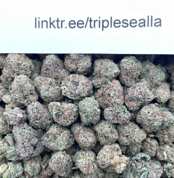 #H40C Boysenberry Bites Smalls 🫐
