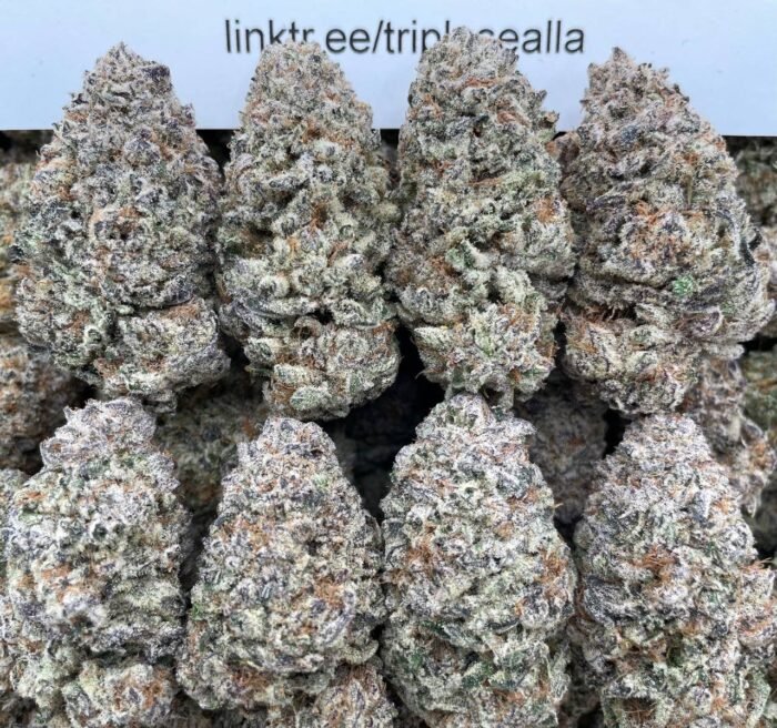 #G12A Jelly Belly 🍬