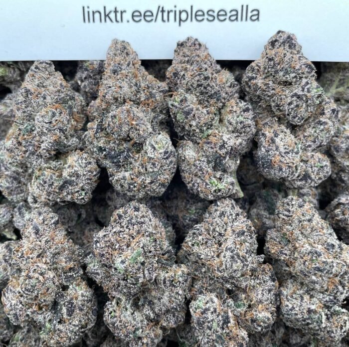 #E17A Blue Razz Slime Licker 🍬