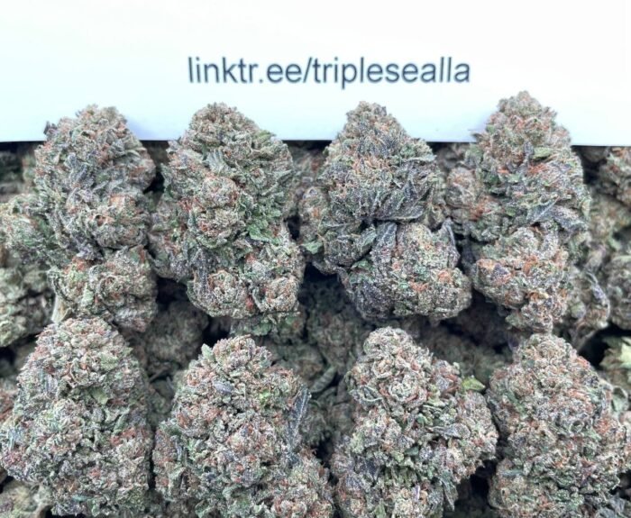 #G26C Guava Gelato 🍈