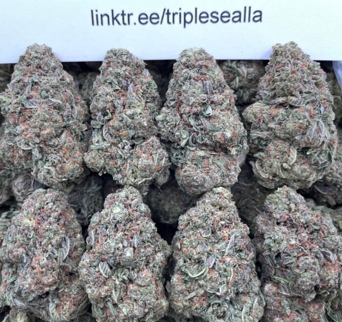 #E5C Skunk OG 🦨