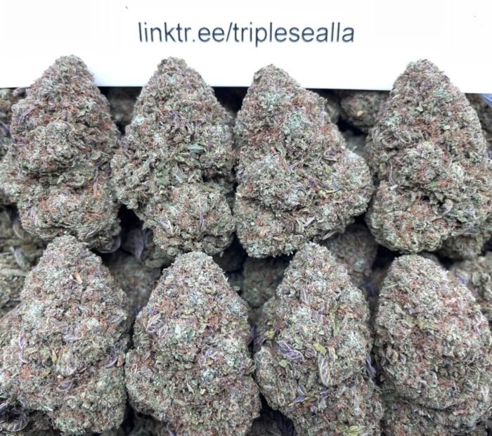 #E88A Candy Clusterz 🍬