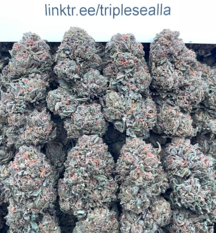 #L3B Piescream OG 🥧
