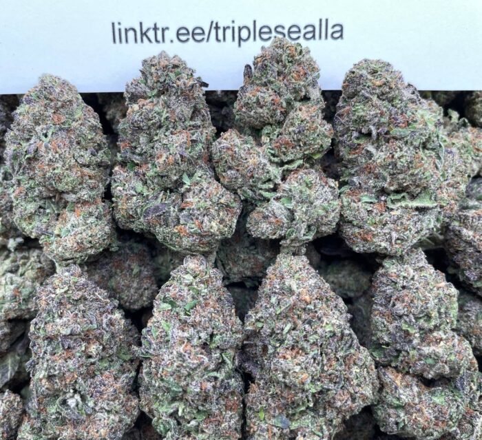 #L40A Chocolate Trufflini 🍫