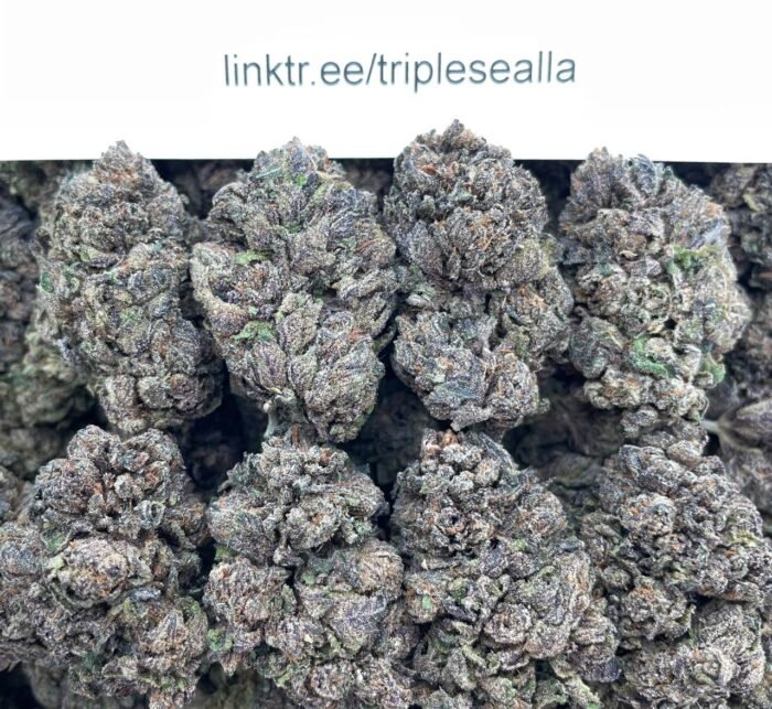 #E10C Nightmare Gelato 😱