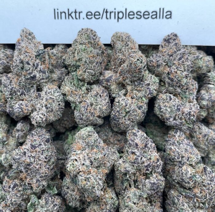 #L10A Blue Apricot Zherbet 🍑