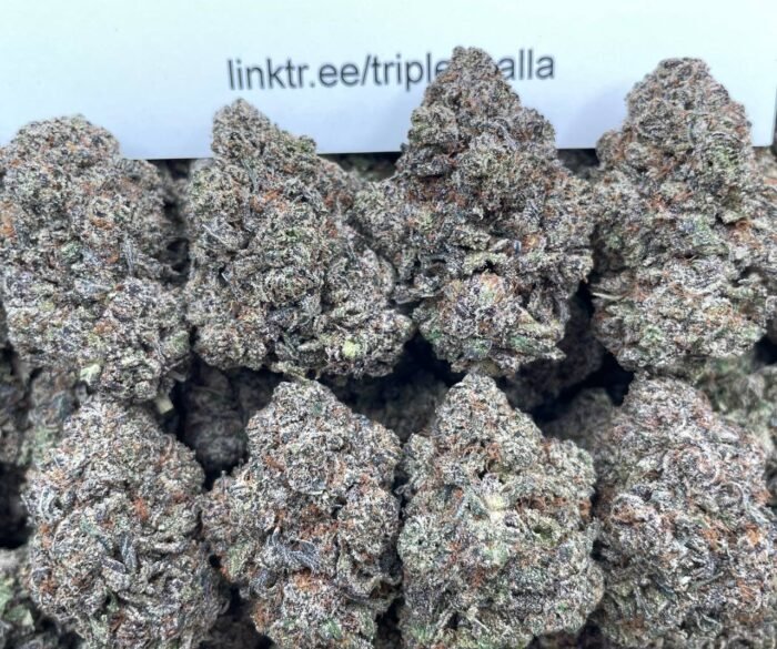 #G24B Garlic Truffles 🧄