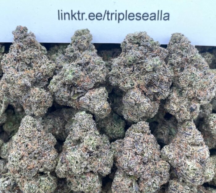 #F55C Hella Jelly 🍇