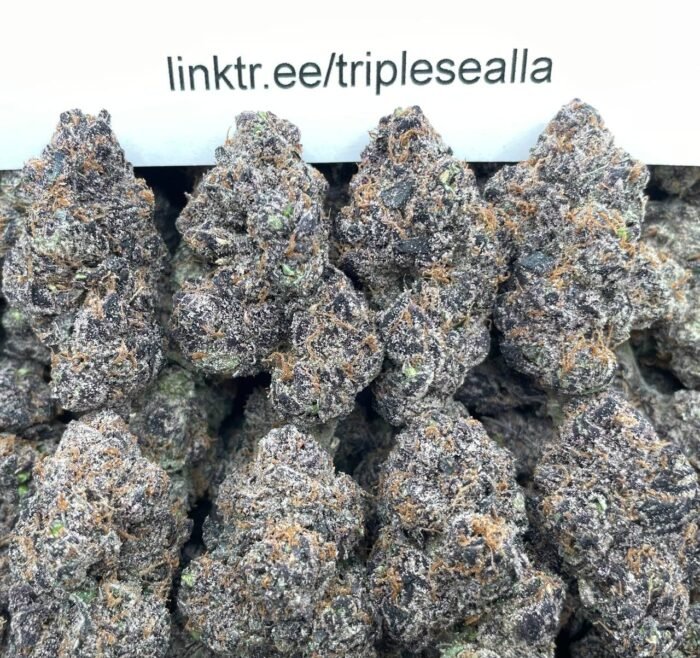 #F24A Kamikaze Kandy 🍭
