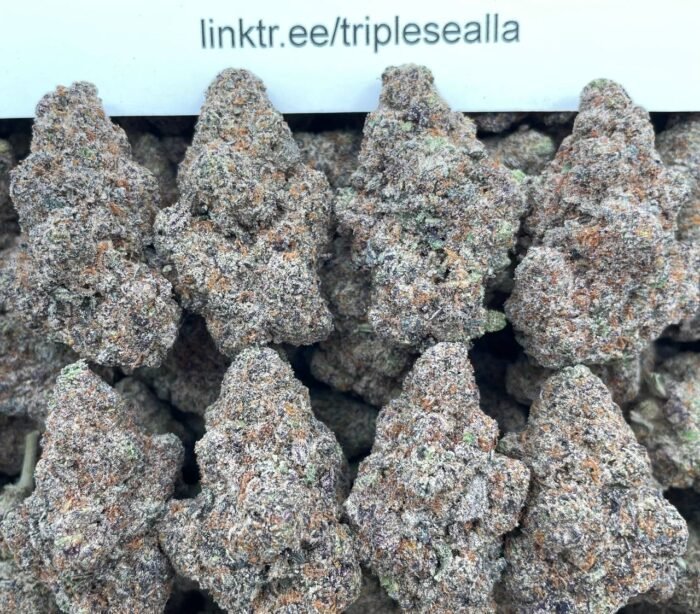 #F46B Blue Guava Runtz 🍭