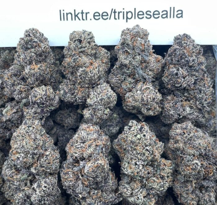 #E38A Hawaiian Runtz 🌺