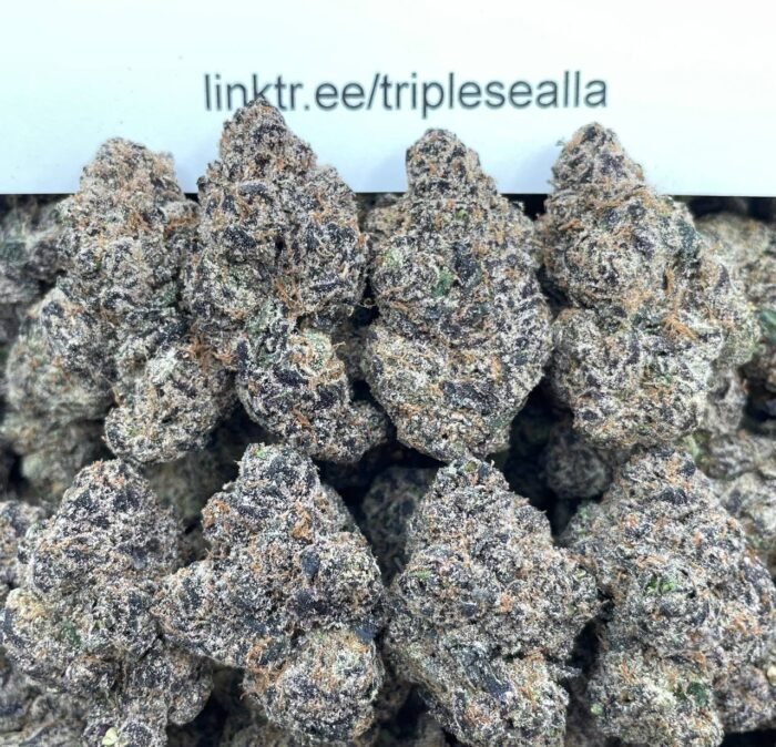 #H22A Fruit Ztripes 🍭