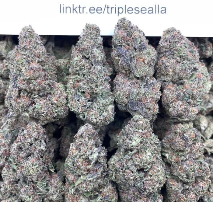 #H39A Orange Gelonade 🍊