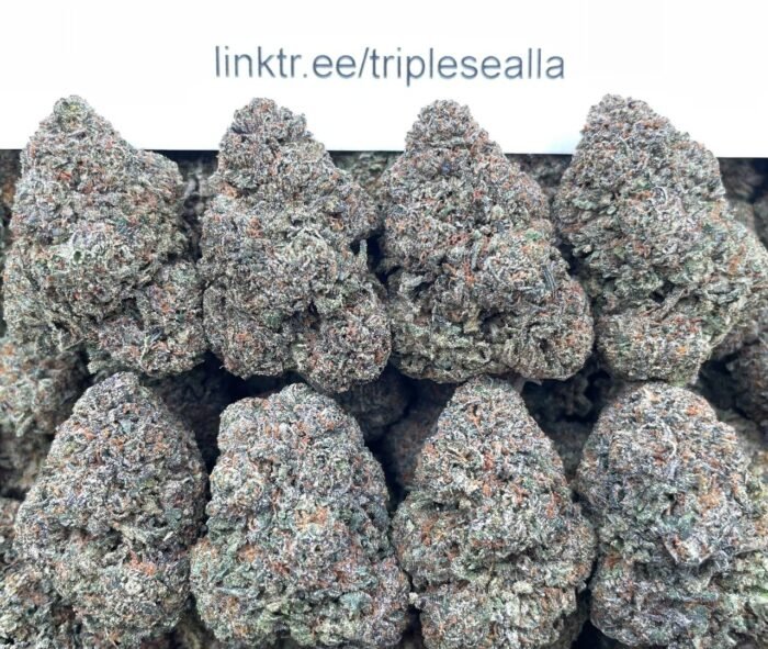 #F32C Playmaker Gelato 💰