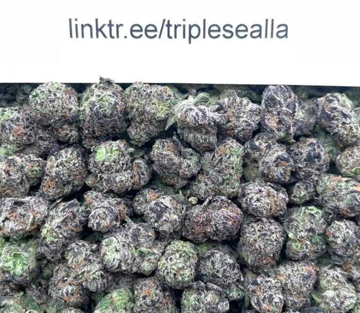 #L40C Candy Jar Smalls 🍬