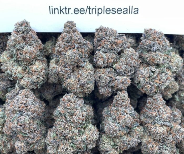 #E33B White Cherry Gelato 🍒