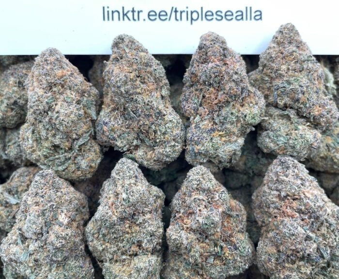 #E19B Canna Doctor 👨‍⚕️