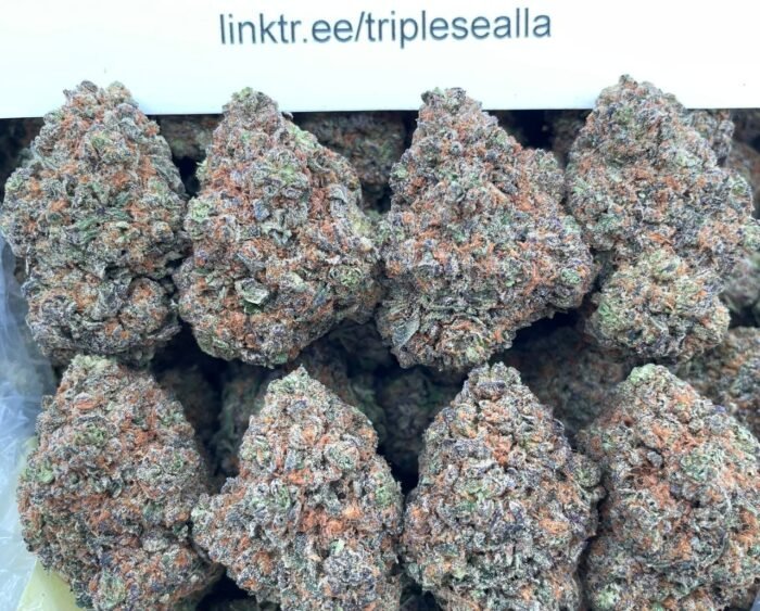 #L31A PB Breath 🥜
