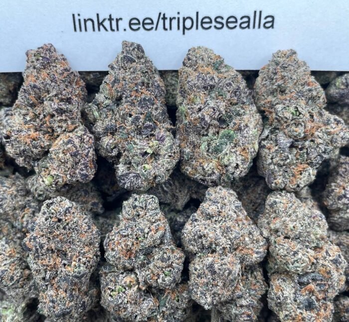 #E17C Guava Candy 🍭