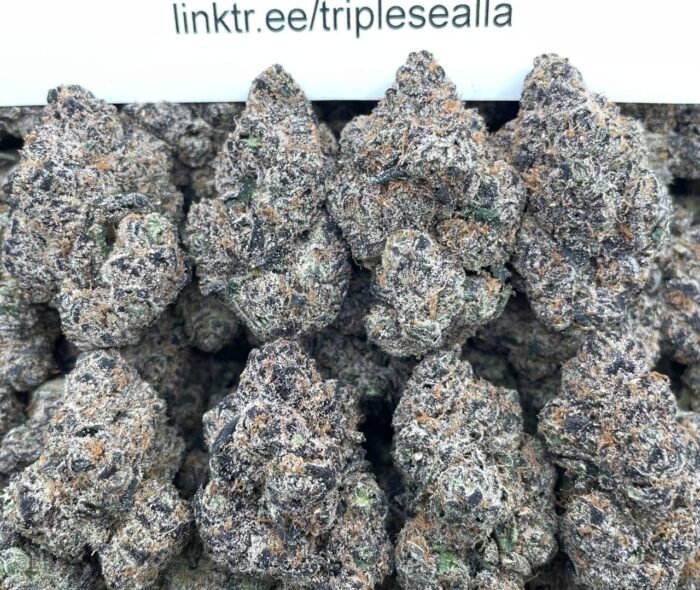 #E14A Purple Lifesavers 🍇