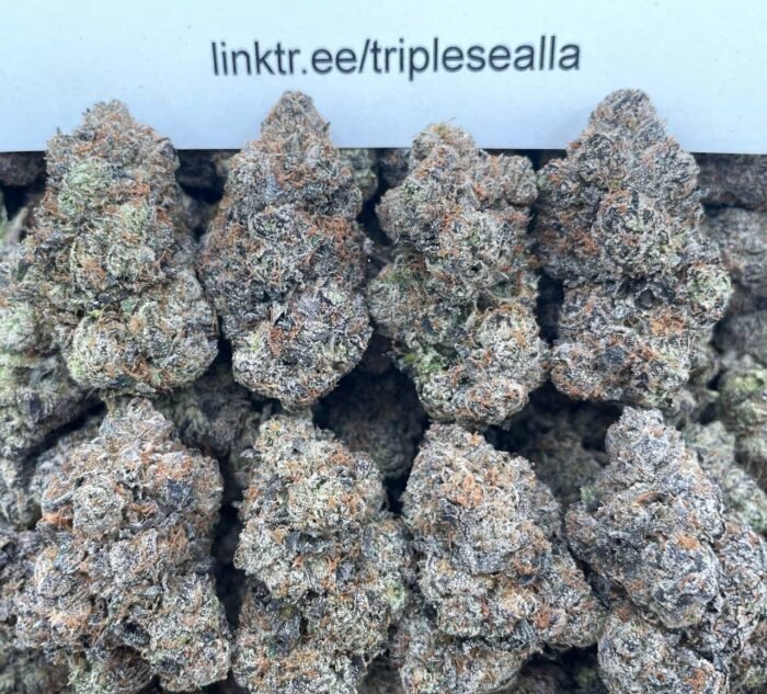 #F2A Guava Gumball 🍬