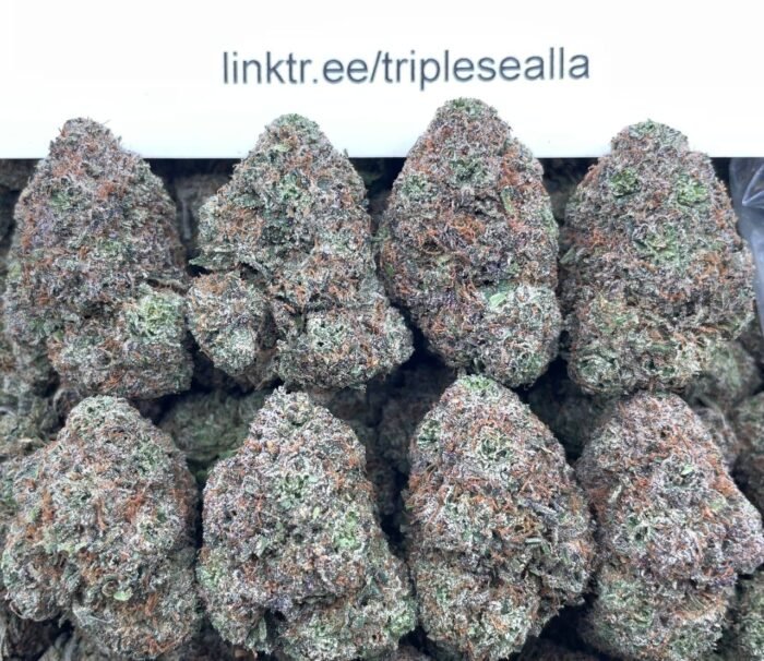 #F10B White Cherry Gelato 🍒