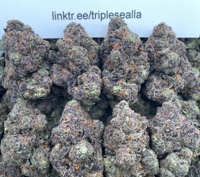 #L24A Purple Push Pop 🍇