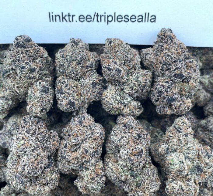 #E31A Lick n Dip 🍭