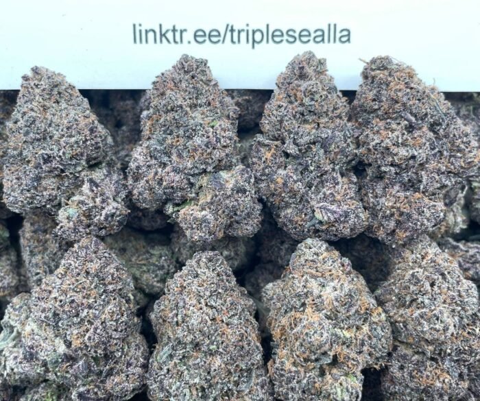 #E15B Bubblegum Mochi 🍬