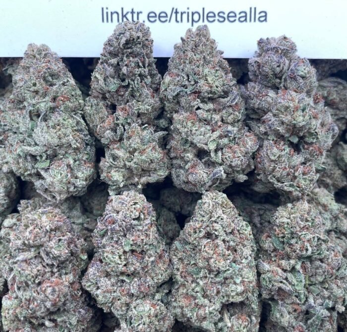 #F12A Dippin Dots 🍨