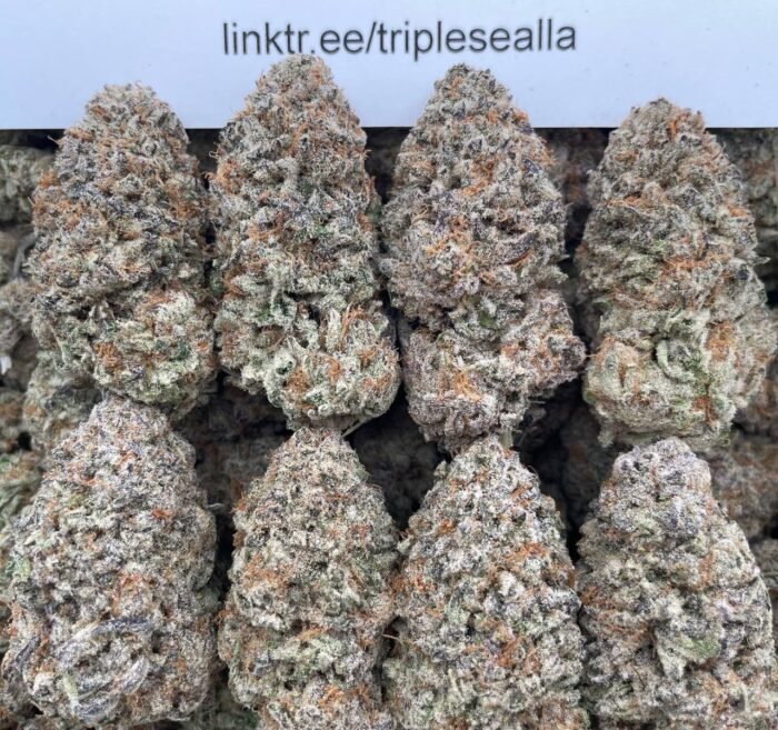 #F28C Gummy Bears 🧸